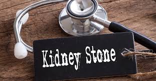 Kidney